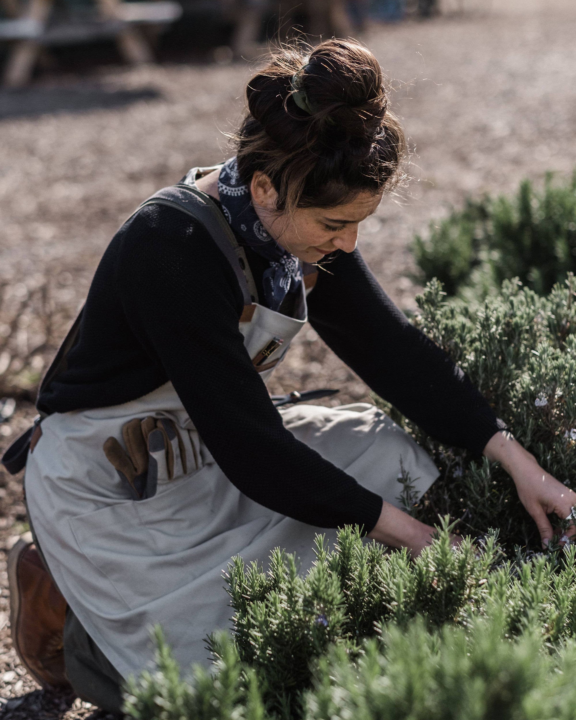 Barebones Chef Grilling Apron