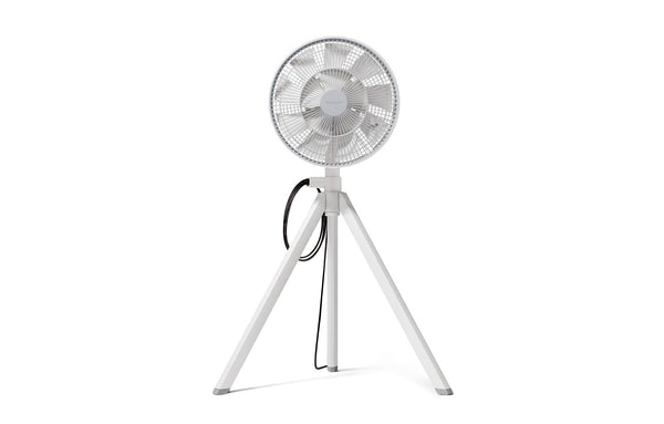BALMUDA NatureWind Studio Oscillating Floor Fan