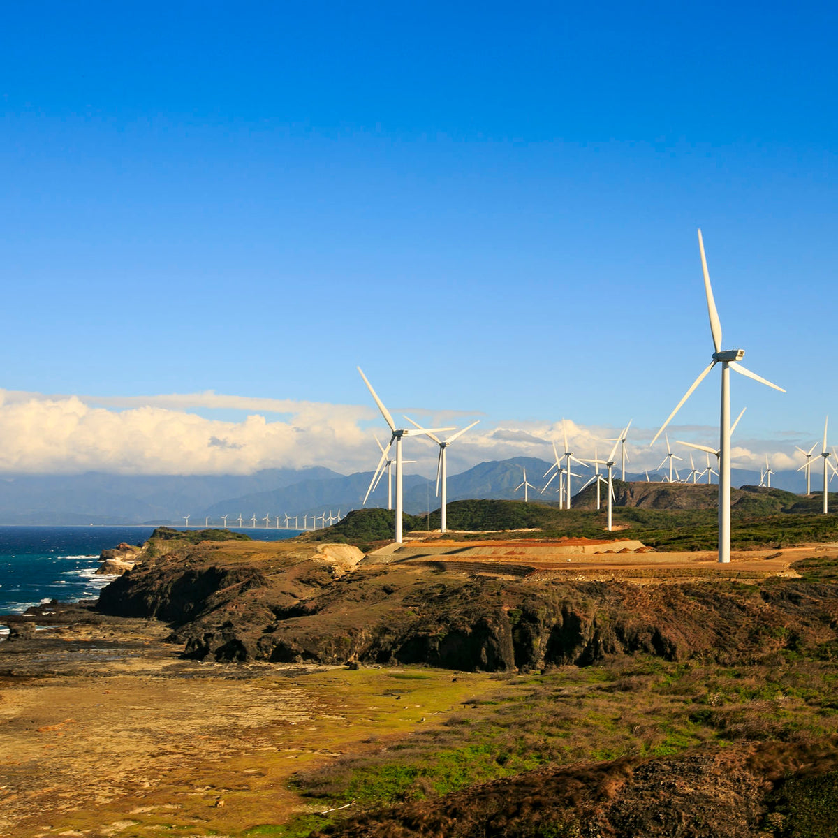Offset 220lb of CO2 globally per order