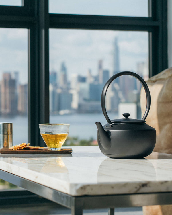 BALMUDA MoonKettle Electric Kettle
