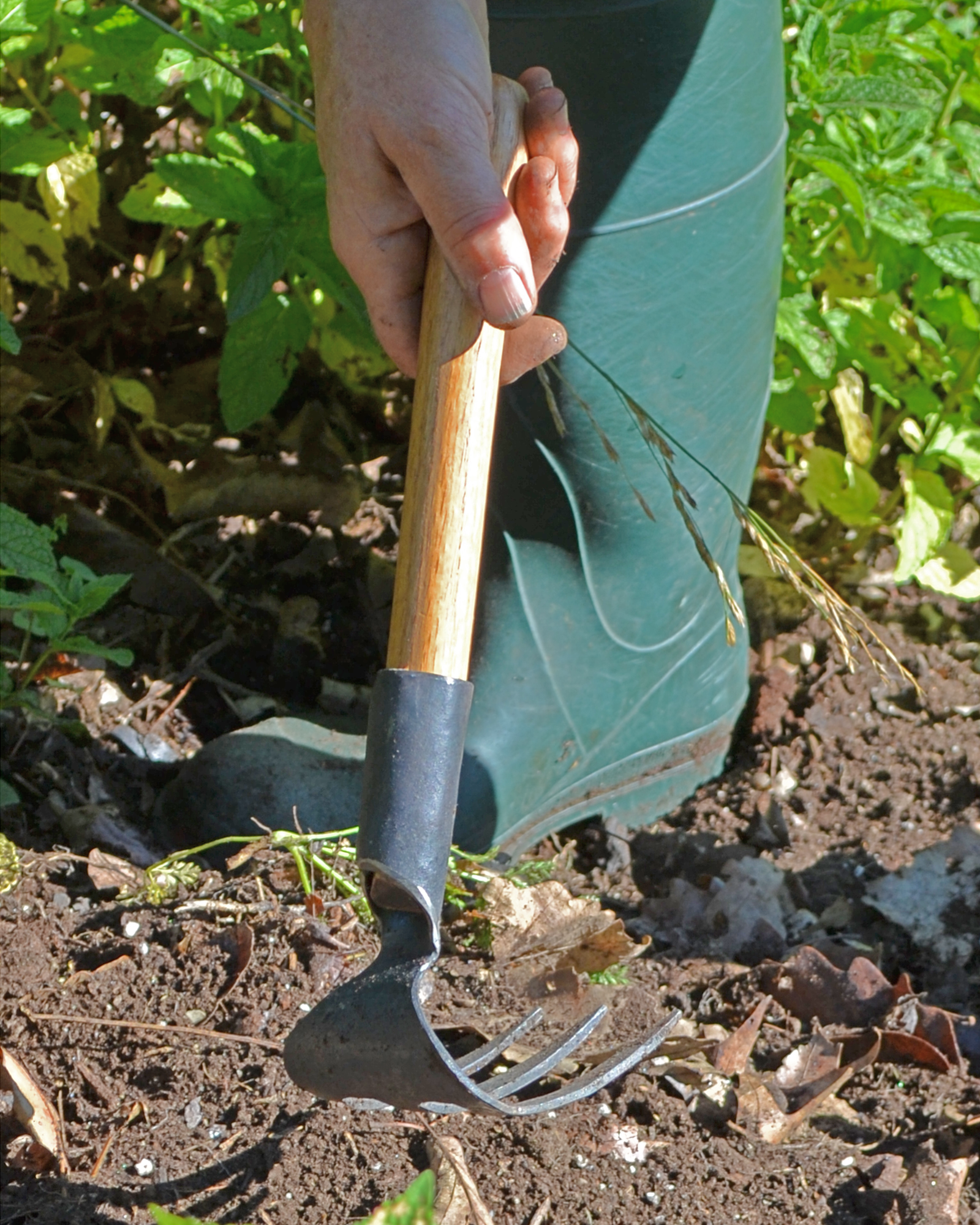 Person gardening with a hand fork in a garden setting
