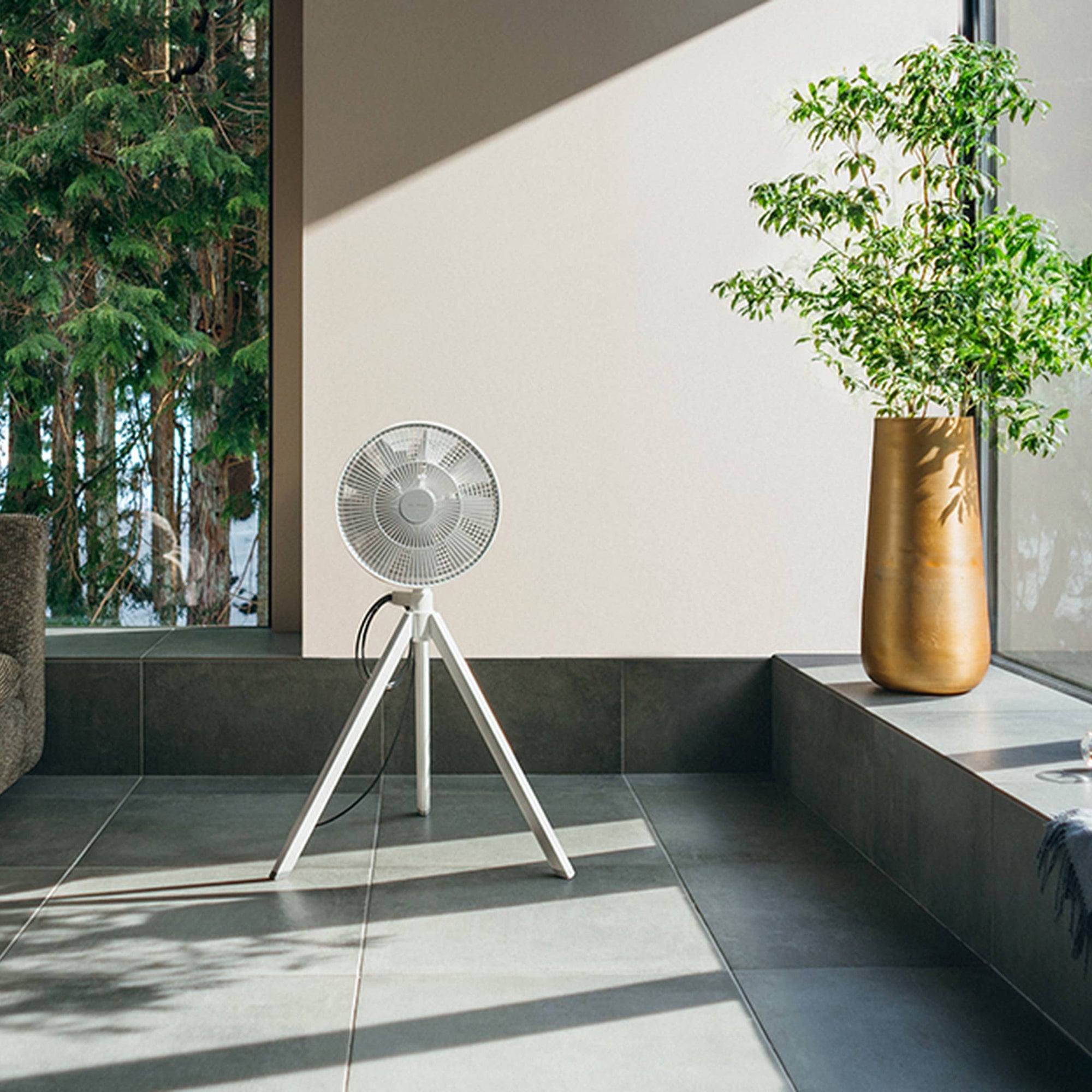 BALMUDA NatureWind Studio Oscillating Floor Fan