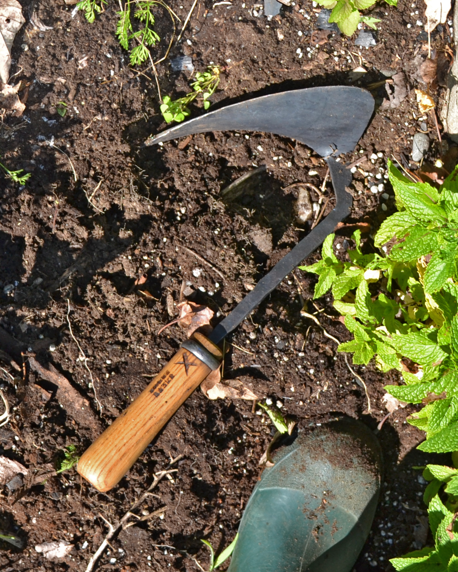 Gardening tool in soil with plants around