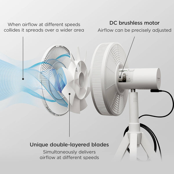 BALMUDA NatureWind Studio Oscillating Floor Fan