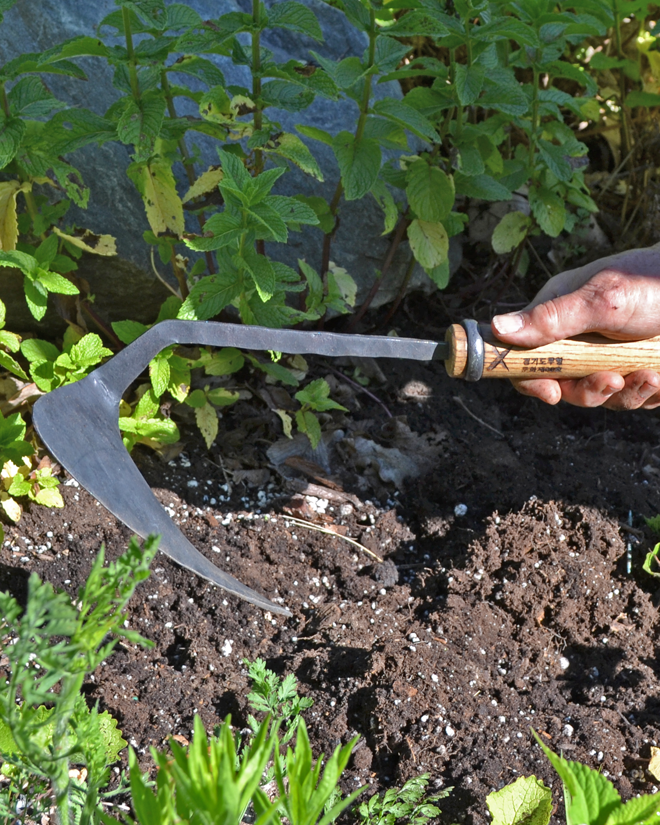 Person using a garden tool to work the soil in a garden
