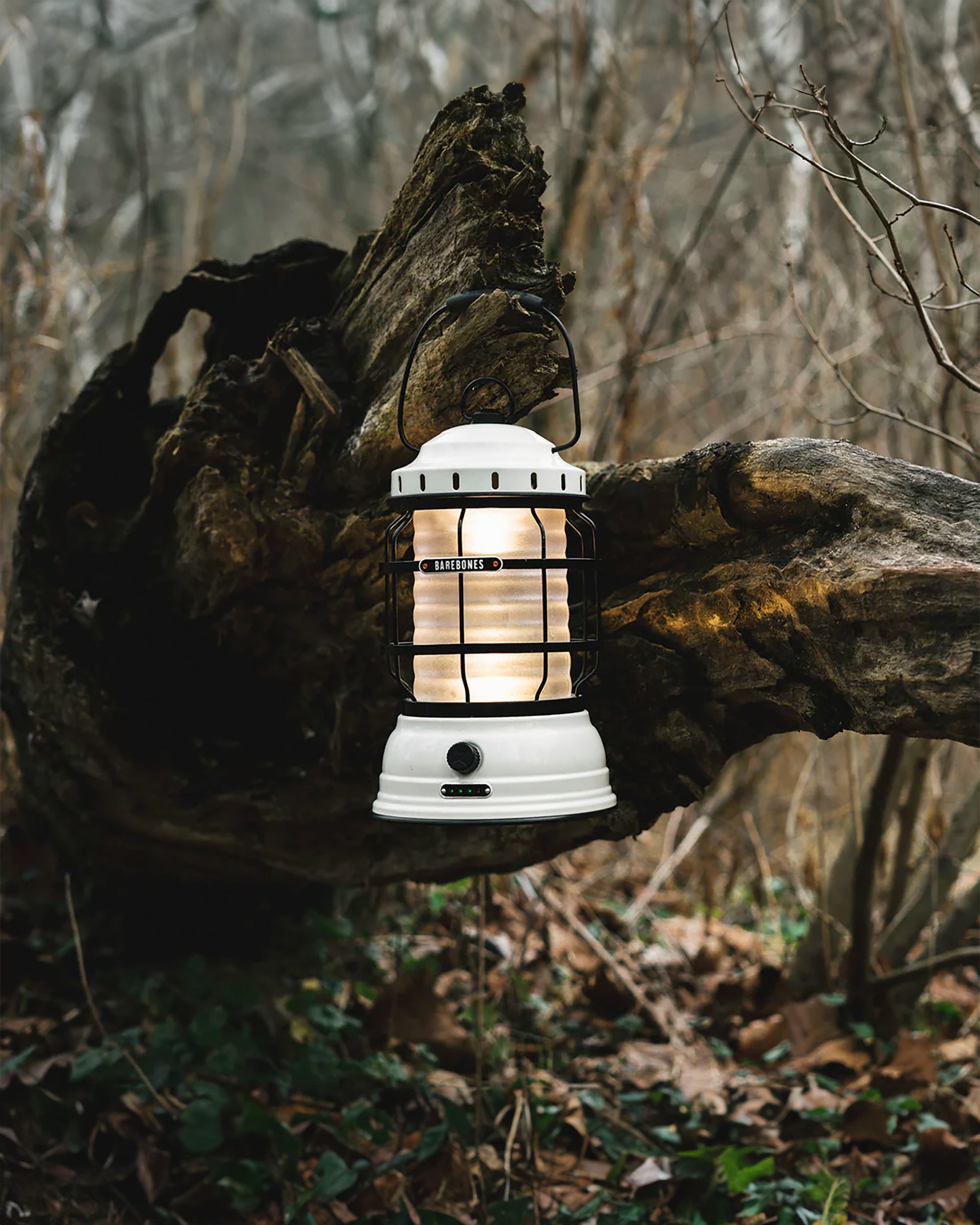 Forest Lantern