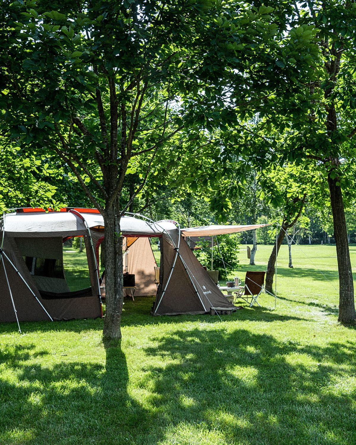 Snow Peak Land Lock Four Person Tent Shelter
