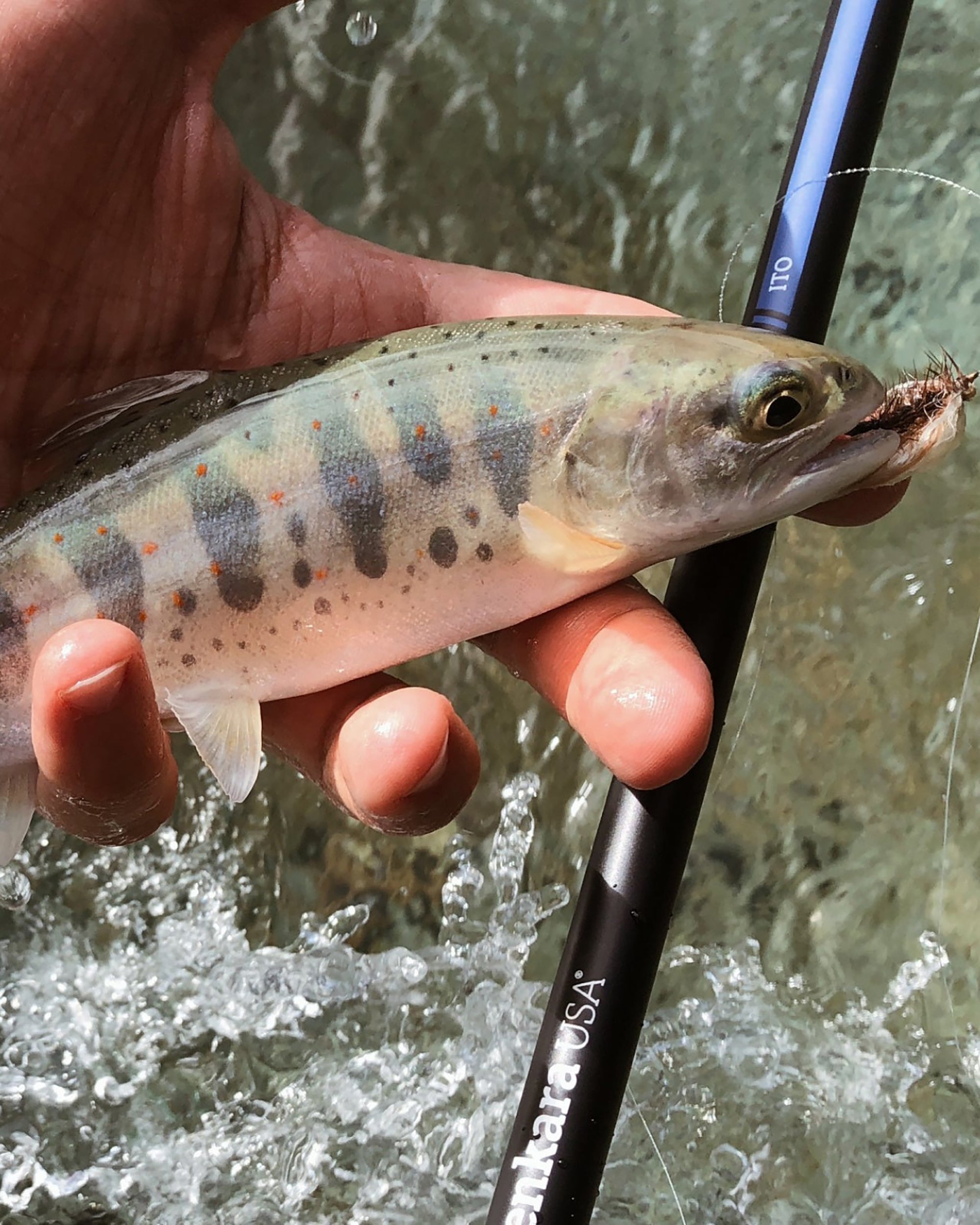 ITO™ 13' / 14'7" Adjustable Tenkara Fly Fishing Rod