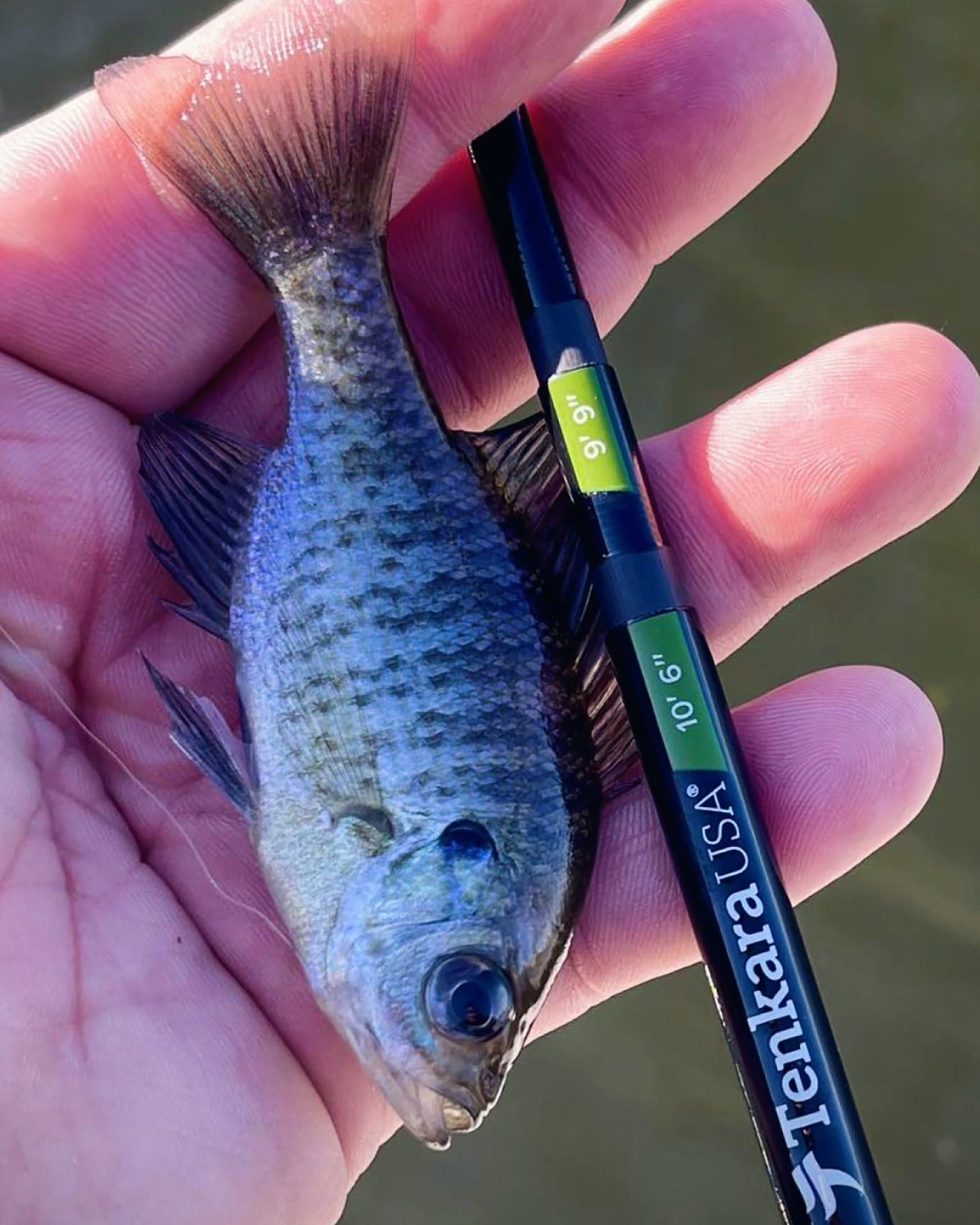 RHODO™ 8'10"/9'9"/10'6" Adjustable Tenkara Fly Fishing Rod