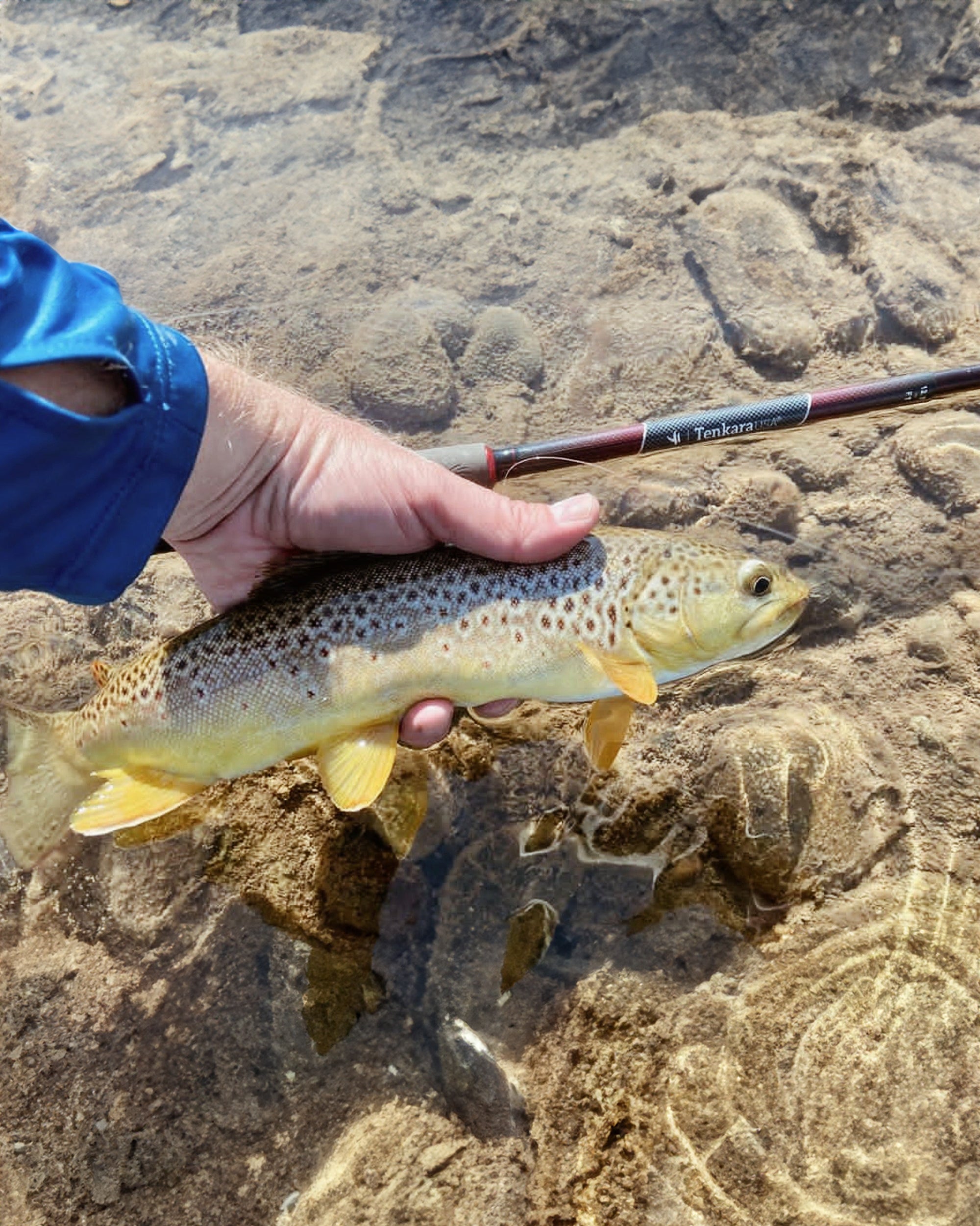 SATOKI™ 10'8" / 12'2" / 13'7" Adjustable Tenkara Fly Fishing Rod