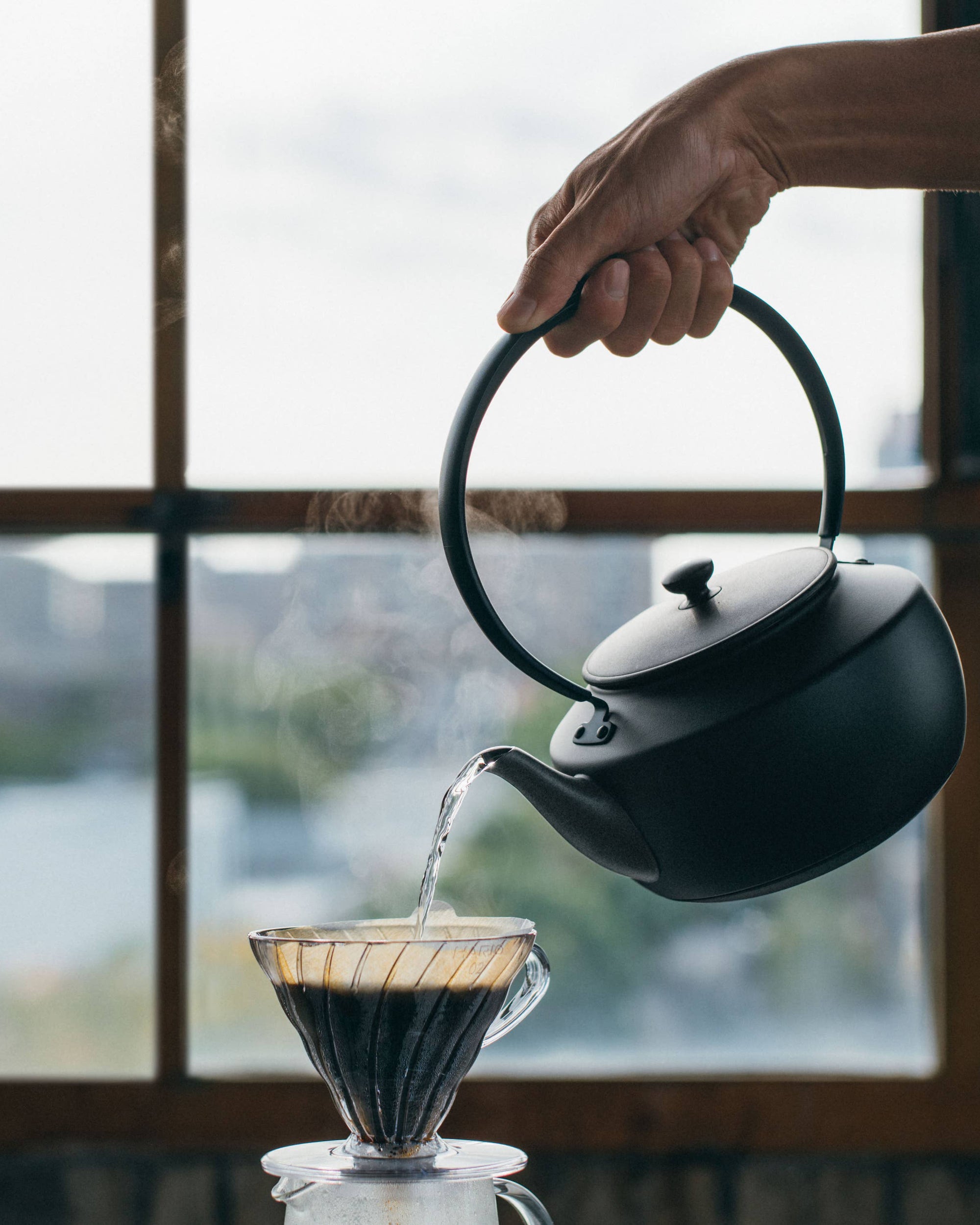 BALMUDA MoonKettle Electric Kettle