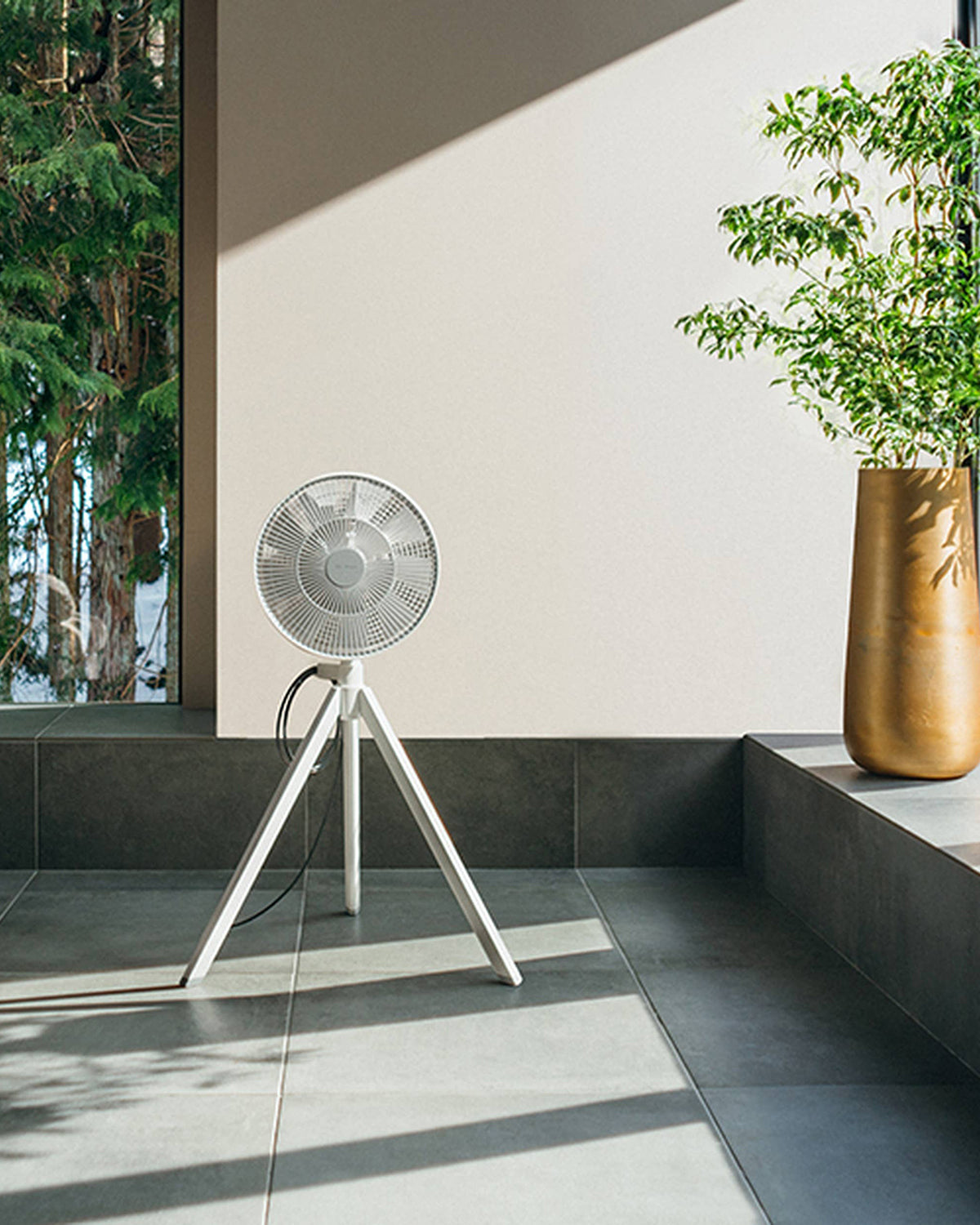 BALMUDA NatureWind Studio Oscillating Floor Fan