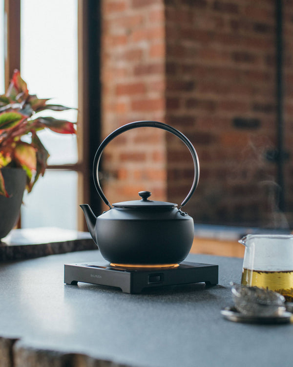 BALMUDA MoonKettle Electric Kettle