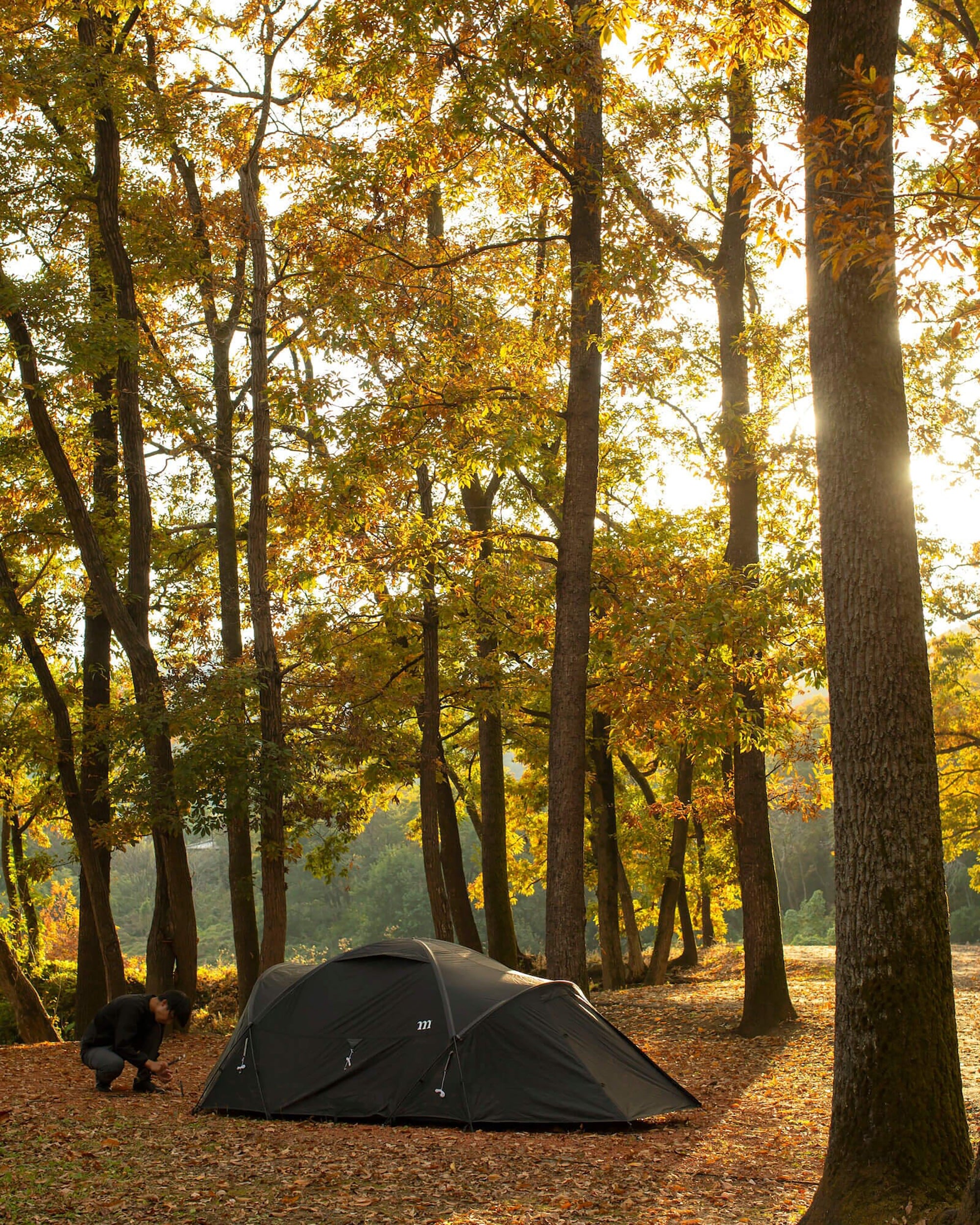 Norm Three Person Tent