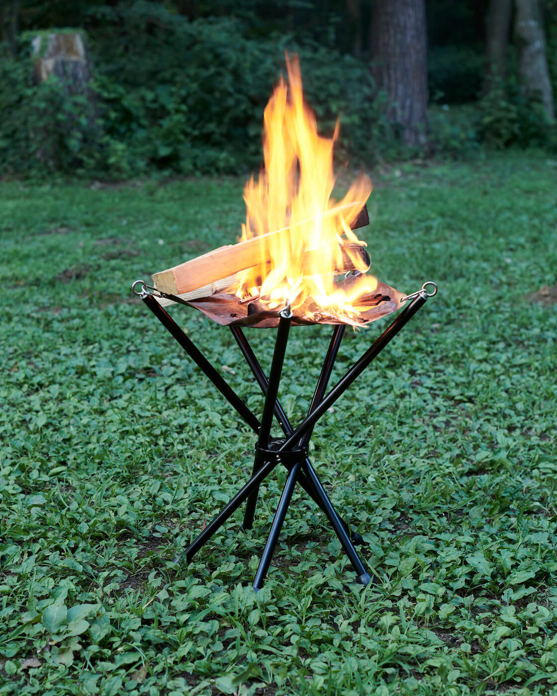 Star Torch Fifty