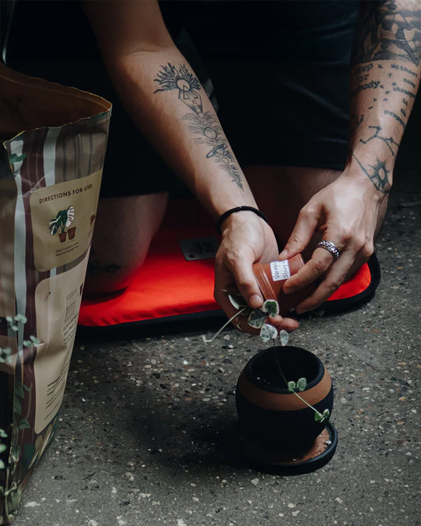 Peace Cabin Utility Sit / Kneel Pad (Neon Orange + Cobalt)