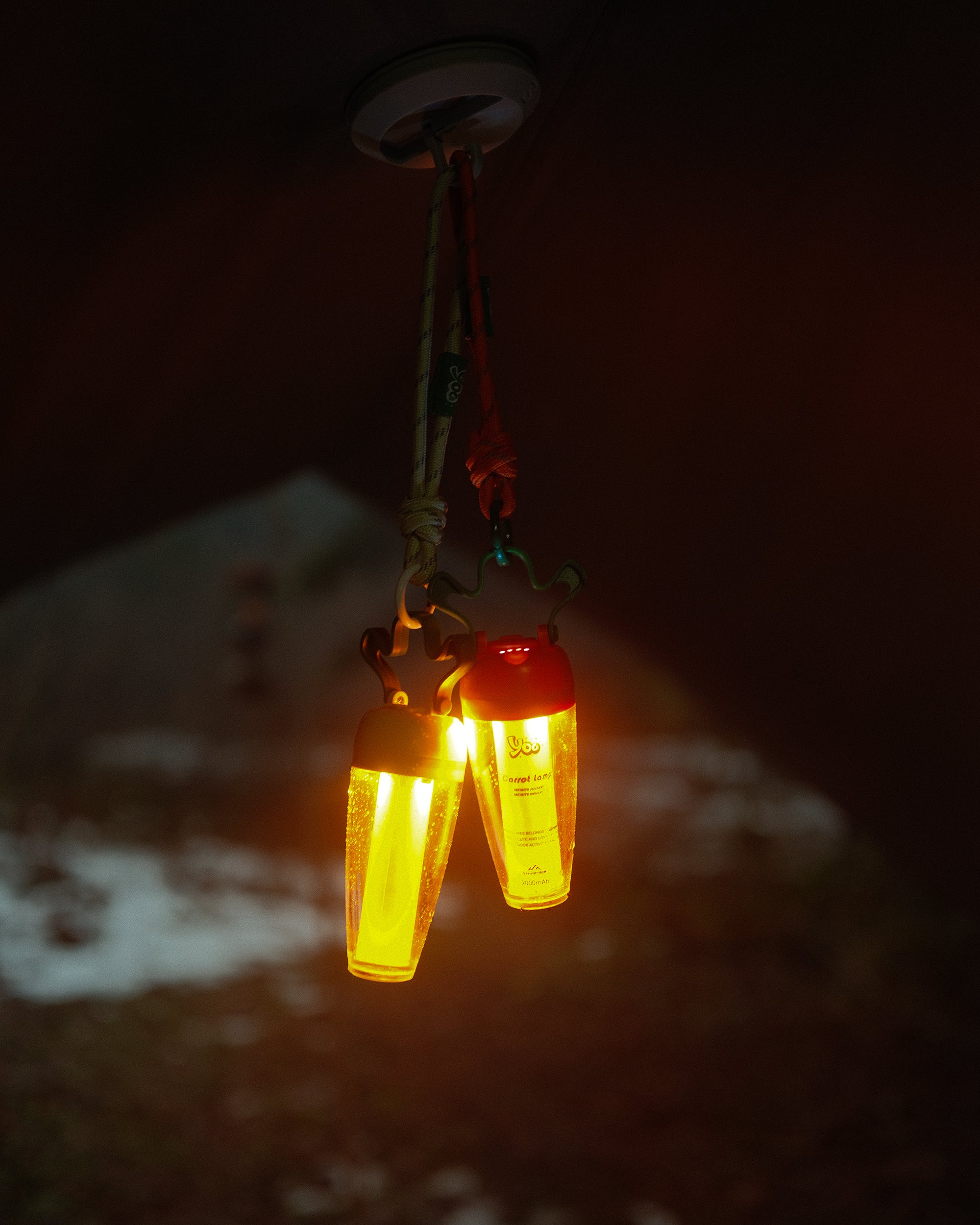 Carrot Mini Lantern