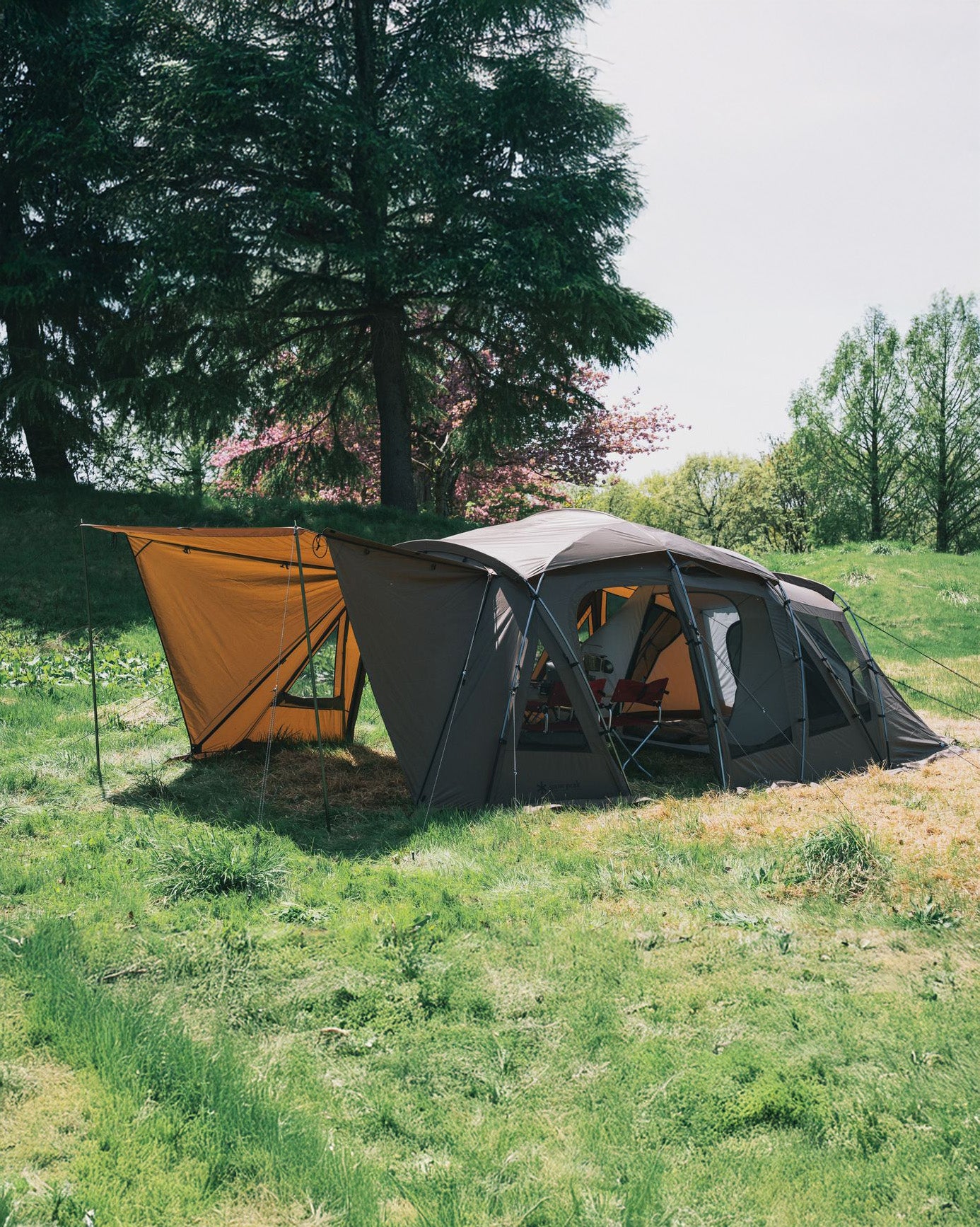 Snow Peak Festival Tortue Pro. 2026 Edition 4-Person Shelter